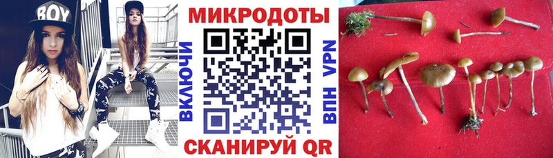 MEGA как зайти  Керчь  Псилоцибиновые грибы MAGIC MUSHROOMS 