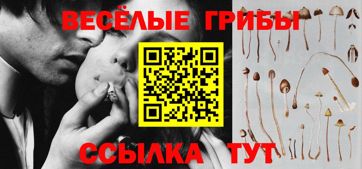 Галлюциногенные грибы прущие грибы Керчь