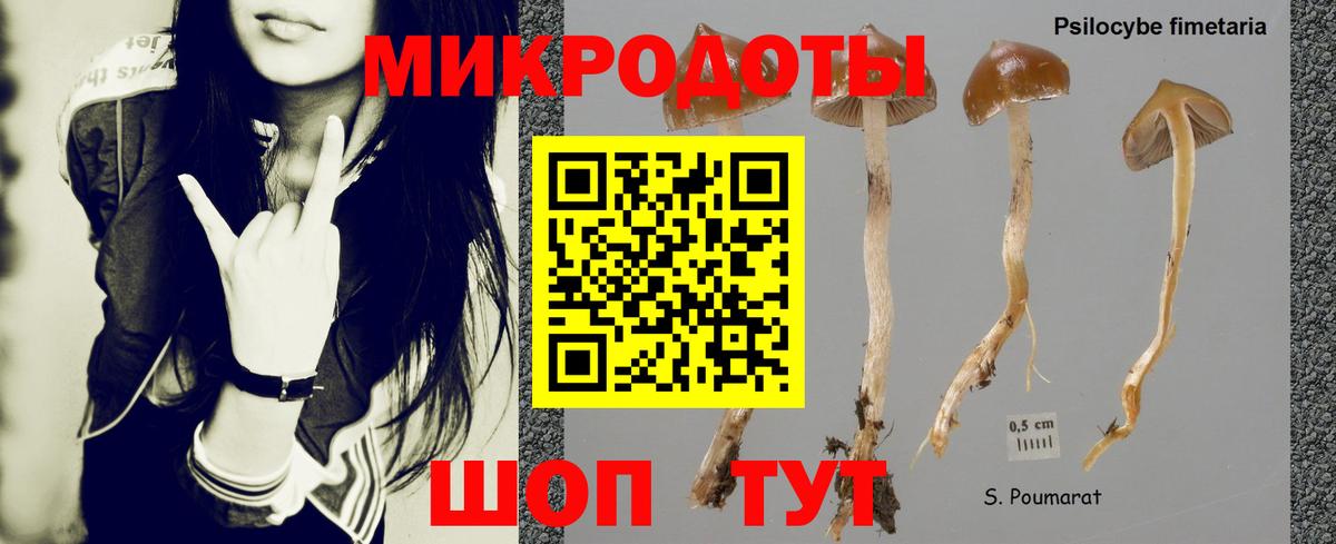 Псилоцибиновые грибы мухоморы  Вход с VPN  Керчь 